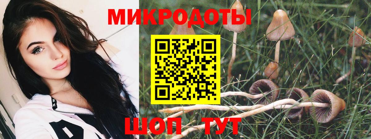 Галлюциногенные грибы мухоморы Избербаш