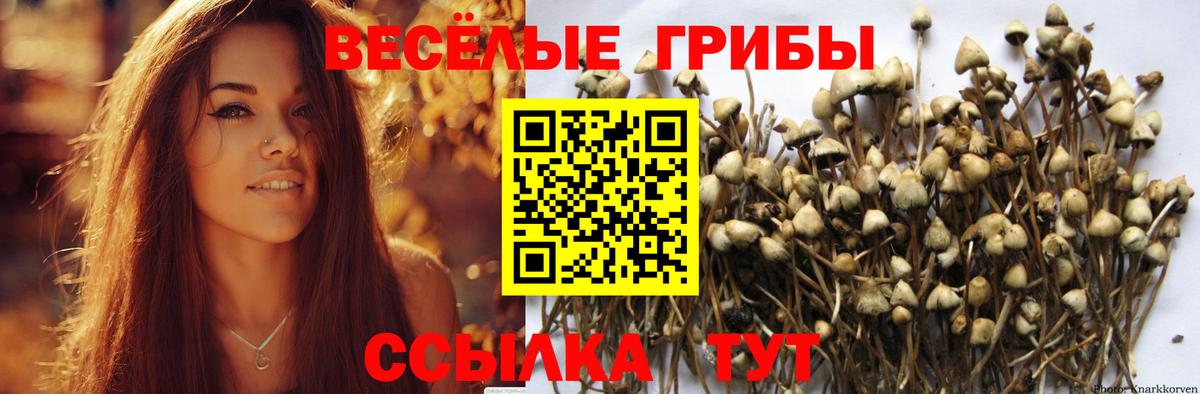 Избербаш  Псилоцибиновые грибы мухоморы  Вход с VPN 